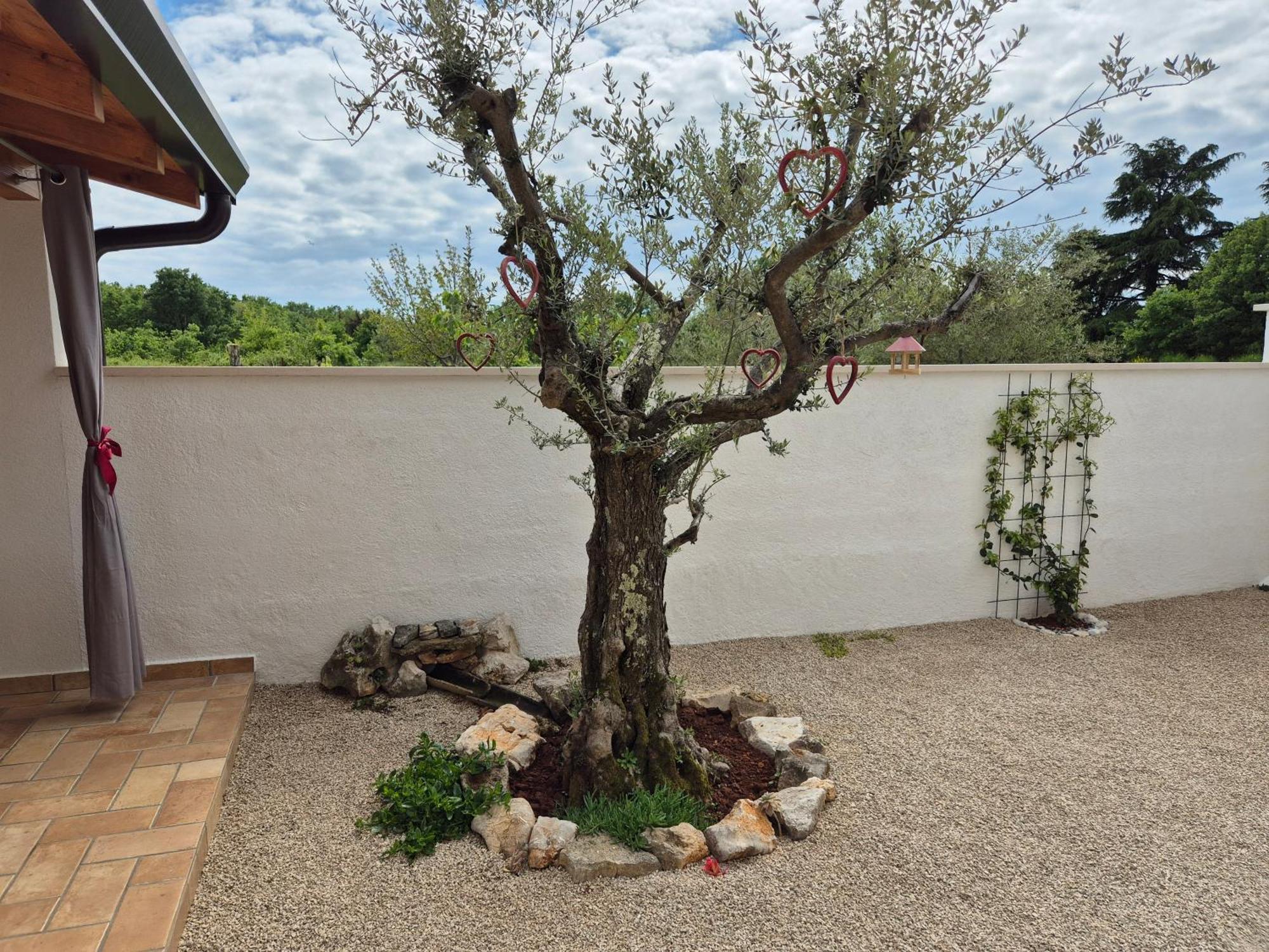 Apartment Vinja - Privat Garden - Whirlpool