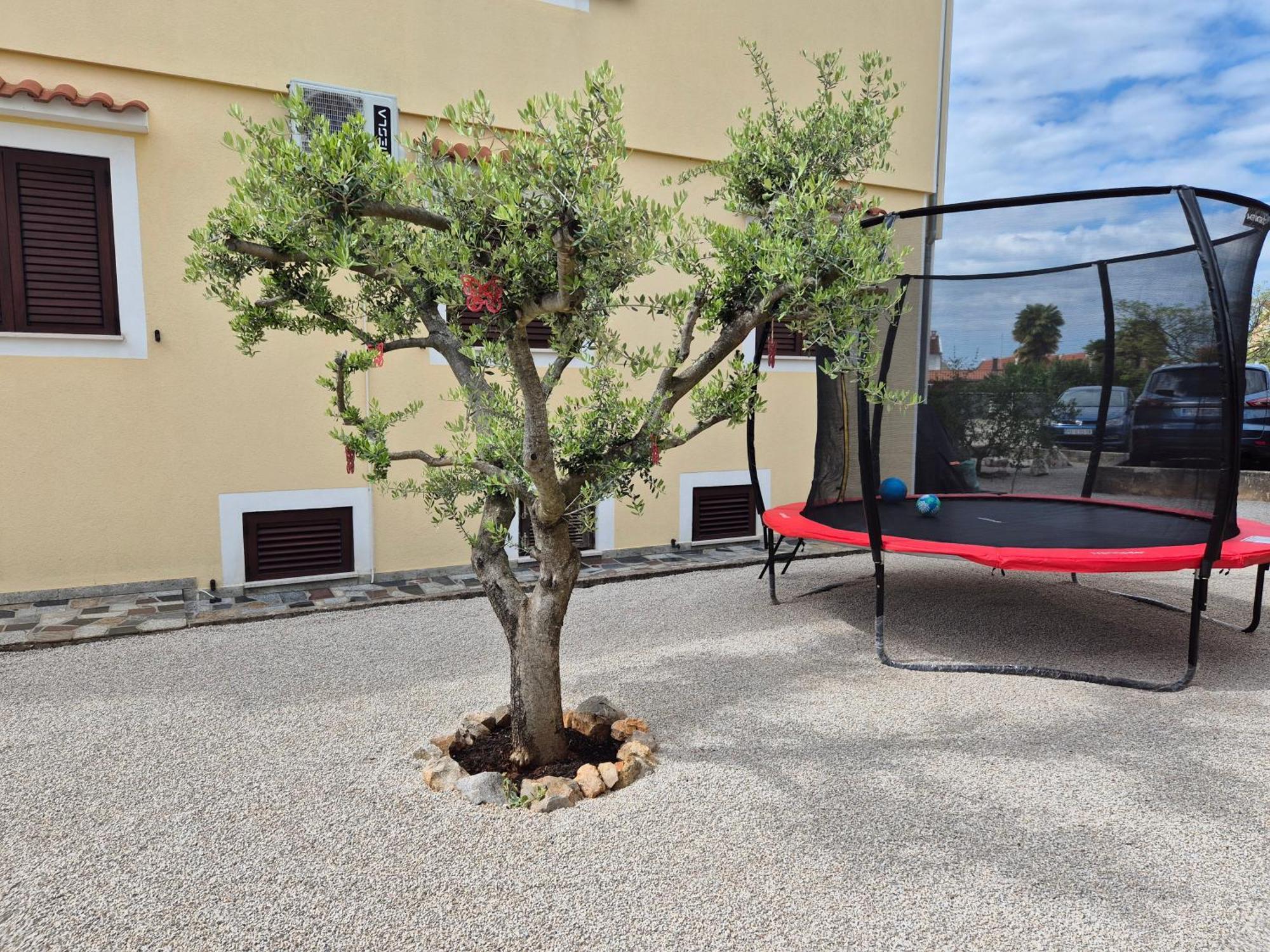 Apartmán Vinja - Privat Garden - Whirlpool